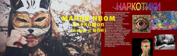шишки Михайлов