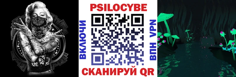 цены   Партизанск  Псилоцибиновые грибы Psilocybe 